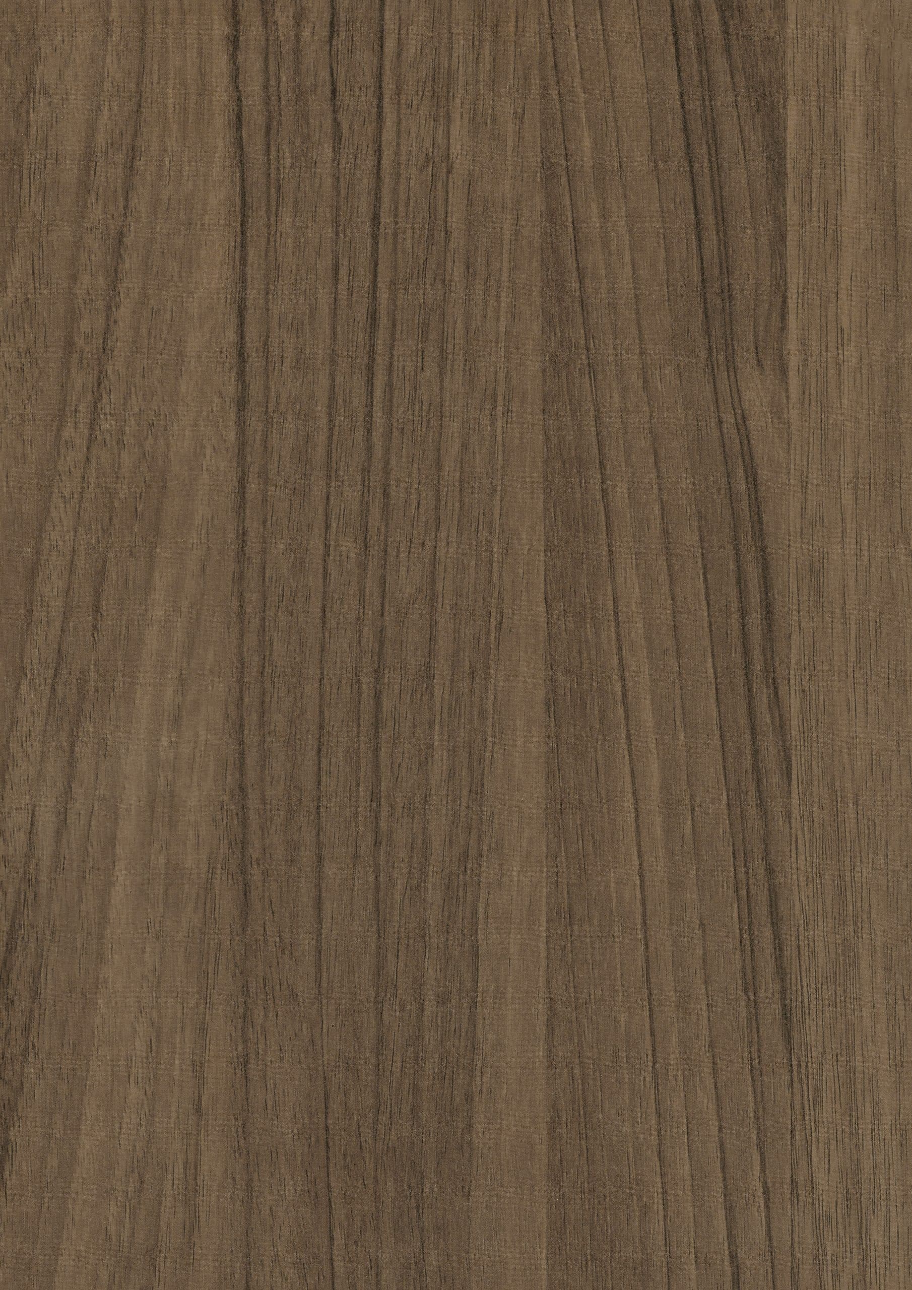 LEGNO 108 GOLD CEVİZ