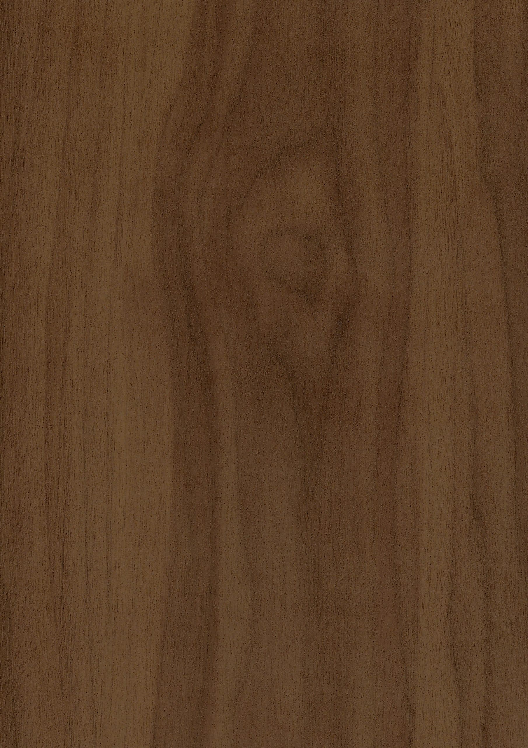 LEGNO 110 MONTANA