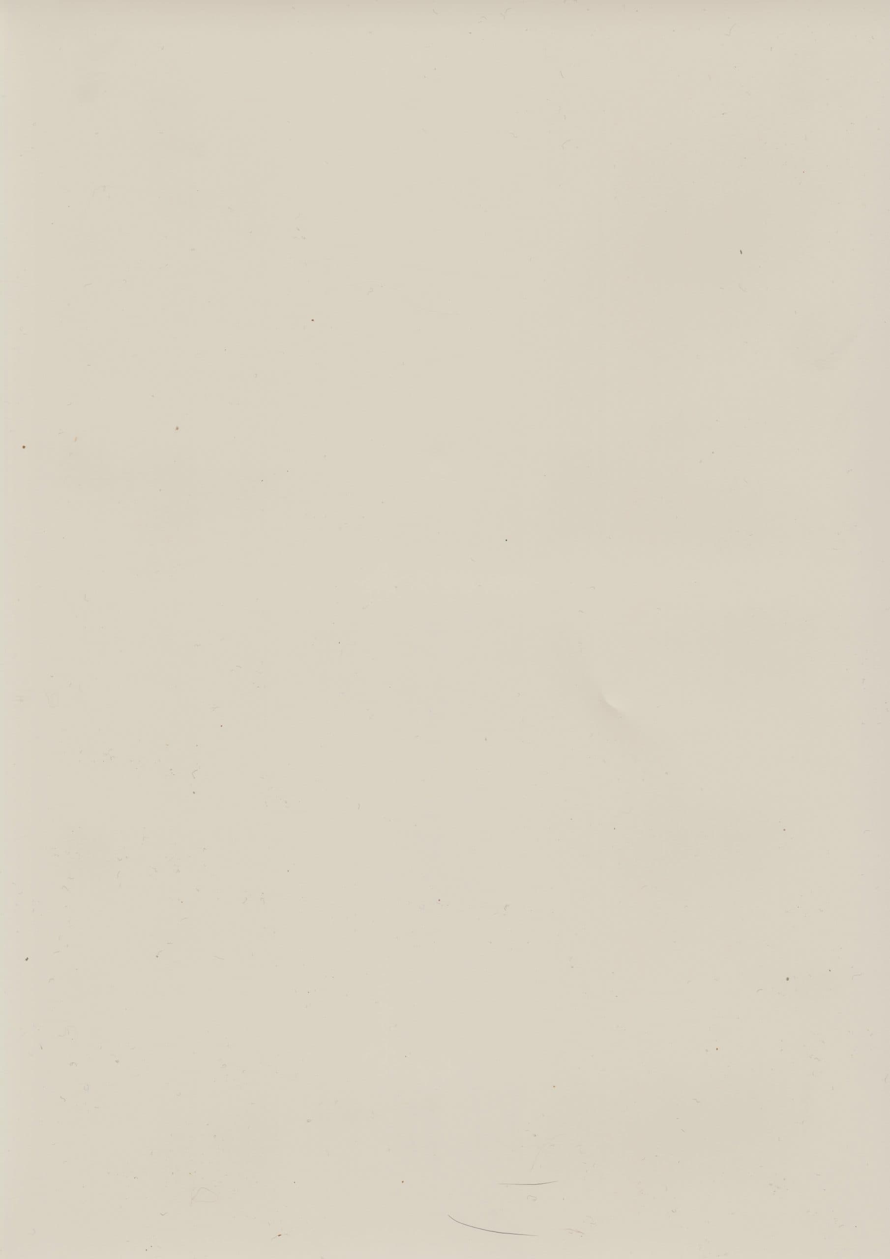 LEGNO 149 MERCAN