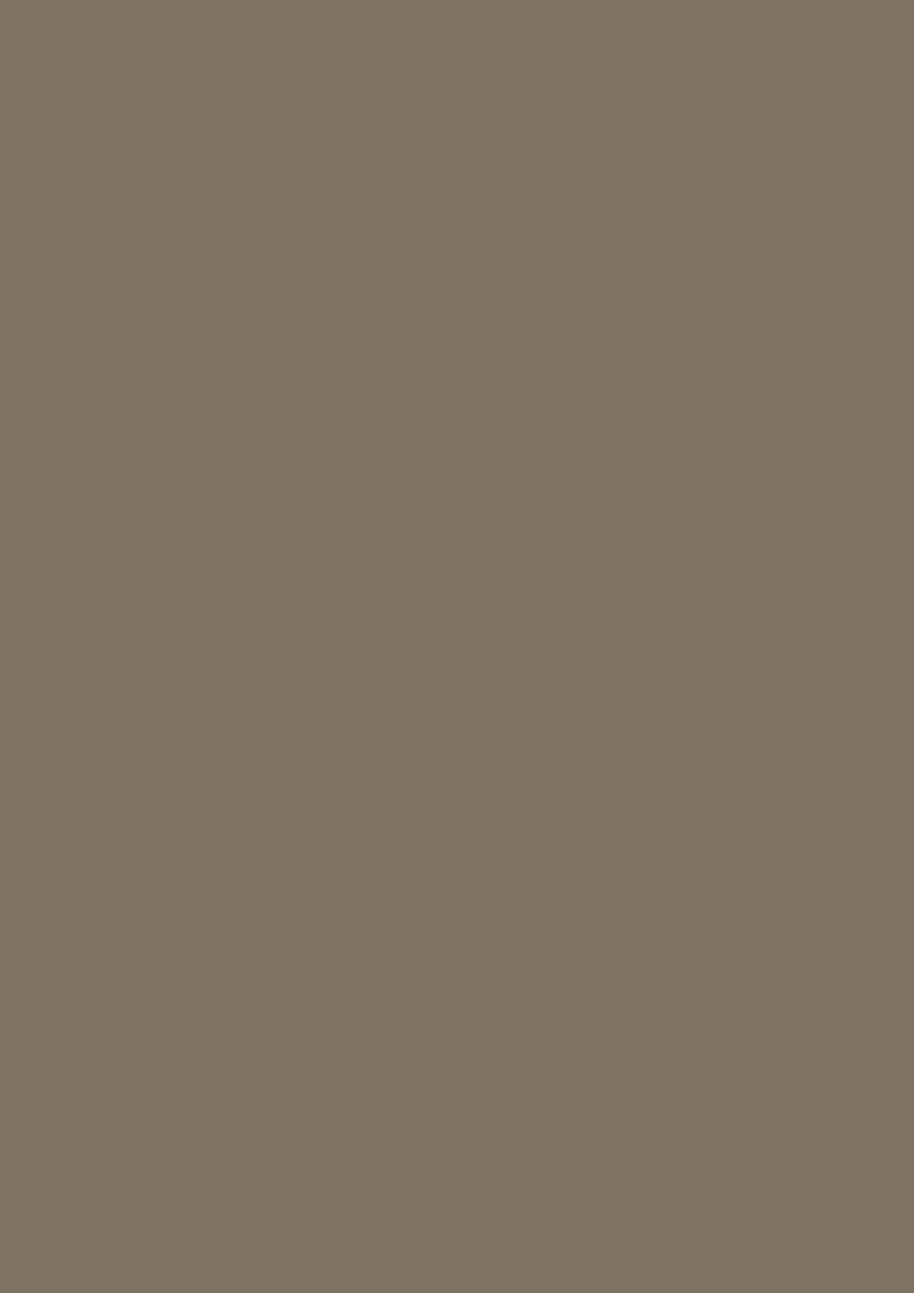 LEGNO 164 TOPRAK