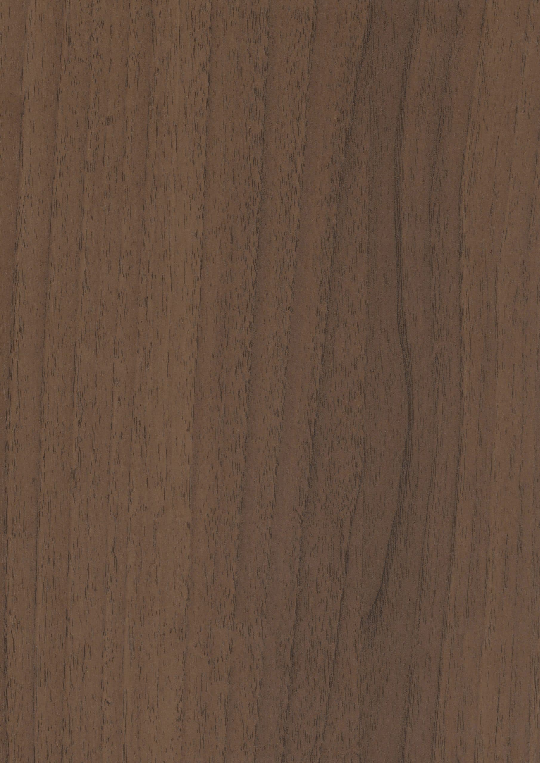 LEGNO 179 İTALYAN CEVİZ 2