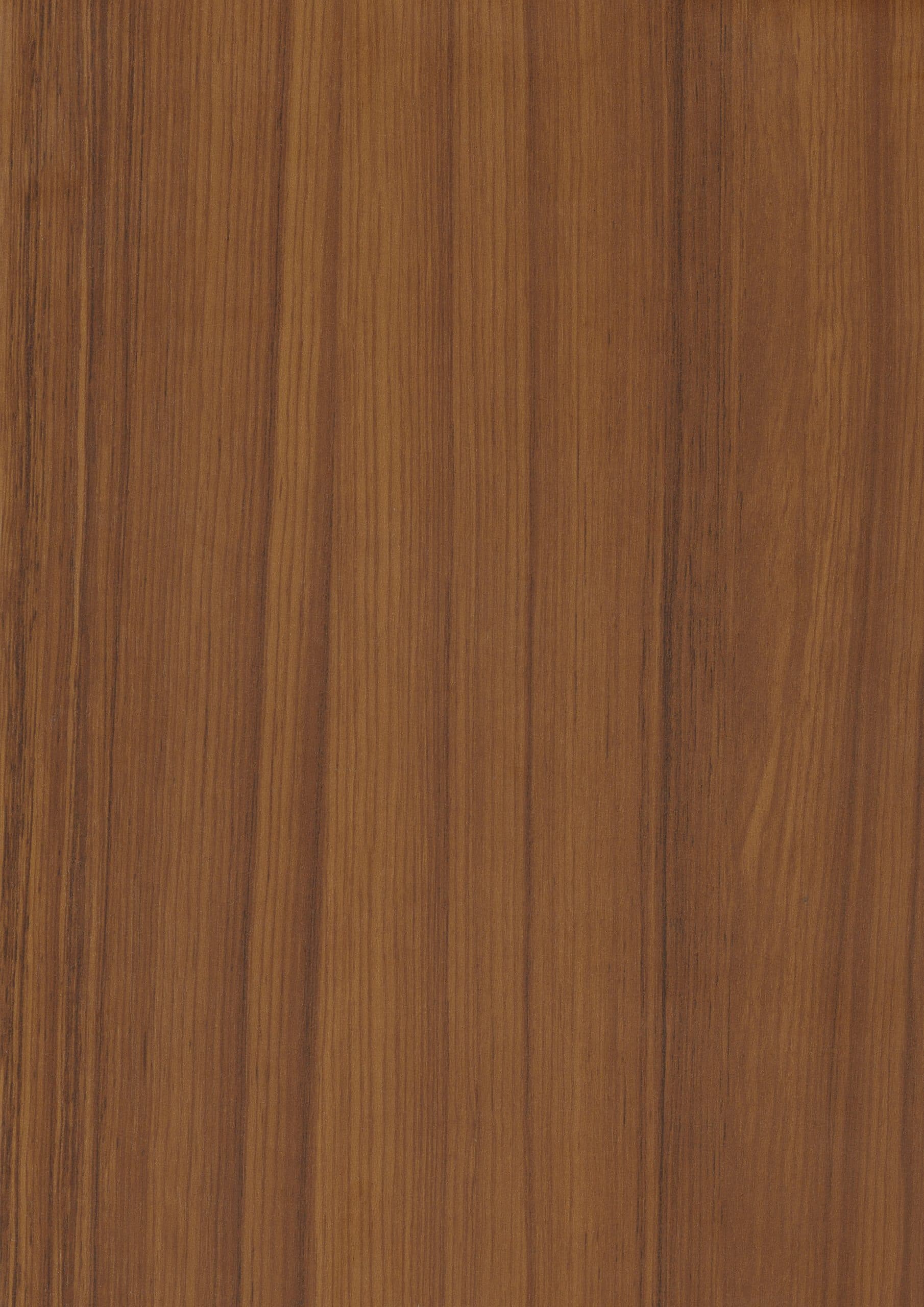 LEGNO 185 ABD CEVİZ